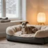 Genius Christmas Decor for Dog Area Ideas That Won’T Get Chewed