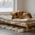 Cozy Dog Area Christmas Decor Ideas for Small Spaces (No Clutter)