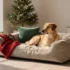 Cozy Dog Area Christmas Decor Ideas for Small Spaces (No Clutter)