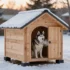 Sniff-Safe Christmas Dog Decor for a Festive Home
