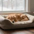 Elegant Dog-Friendly Christmas Decor That Looks Luxe