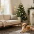 Best Winter Dog Beds: What to Look for That Truly Warm