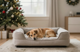 Cozy Dog Bed by the Christmas Tree Ideas That Wow