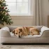 Elegant Dog-Friendly Christmas Decor That Looks Luxe