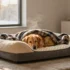 Viral Diy Pet Christmas Ideas That Look Store-Bought