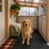 Burrowing Dog Bed Ideas: 10 Cozy Caves for Pups Who Love to Hide