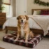 Farmhouse Christmas Dog Corner Ideas: 10 Magazine-Worthy Looks