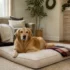 Designer Christmas Dog Beds: 5 Picks That Look Like Real Furniture