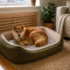DIY Christmas Dog Projects: 5 Easy Paw Print Ideas