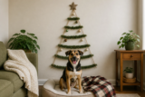 Dog-Friendly Christmas Decorating Ideas: 5 Safe Setups for Small Homes