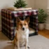 Christmas Dog Beds for Small Dogs: 5 Snug Holiday Picks